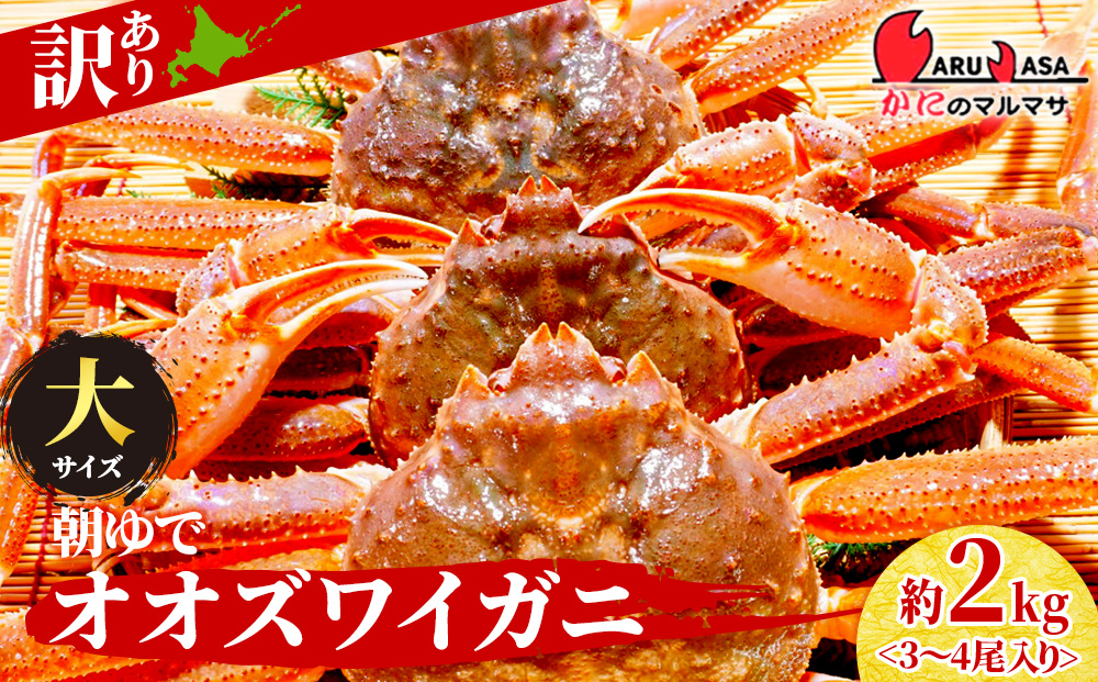 北海道産【 朝ゆで 】訳ありオオズワイガニ 2.0kg詰 ＜かにのマルマサ＞道産品 オオズワイ ズワイガニ ずわい蟹 カニ 蟹 規格外品 不揃い 訳アリ 訳有り