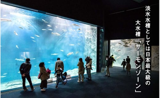 【サケのふるさと 千歳水族館】年間パスポート（大人1枚/Cデザイン）