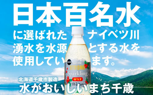 【定期便3ヵ月】セコマ ガラナ 強炭酸水 500ml 24本 1ケース 北海道 千歳製造 飲料 炭酸 ペットボトル
