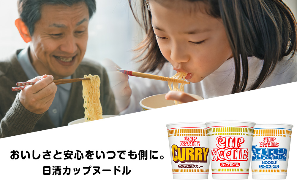 【頒布会12か月】日清　カップヌードルシリーズ20個入