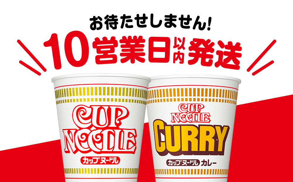 日清ヌードル2種セット カップヌードル・カレーヌードル10食 ラーメン ラーメン 麺 即席麺 麺類 カップ麺 インスタント カップラーメン