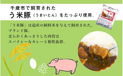 う米豚カレー200g×8袋