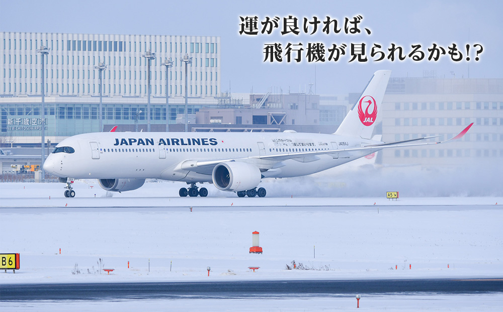 JALã¹ã¿ãããšãããæ°åæ³ç©ºæž¯ããã¯ã€ãŒãèŠåŠãã¢ãŒã2026幎1æ25æ¥ å¬è¡ã