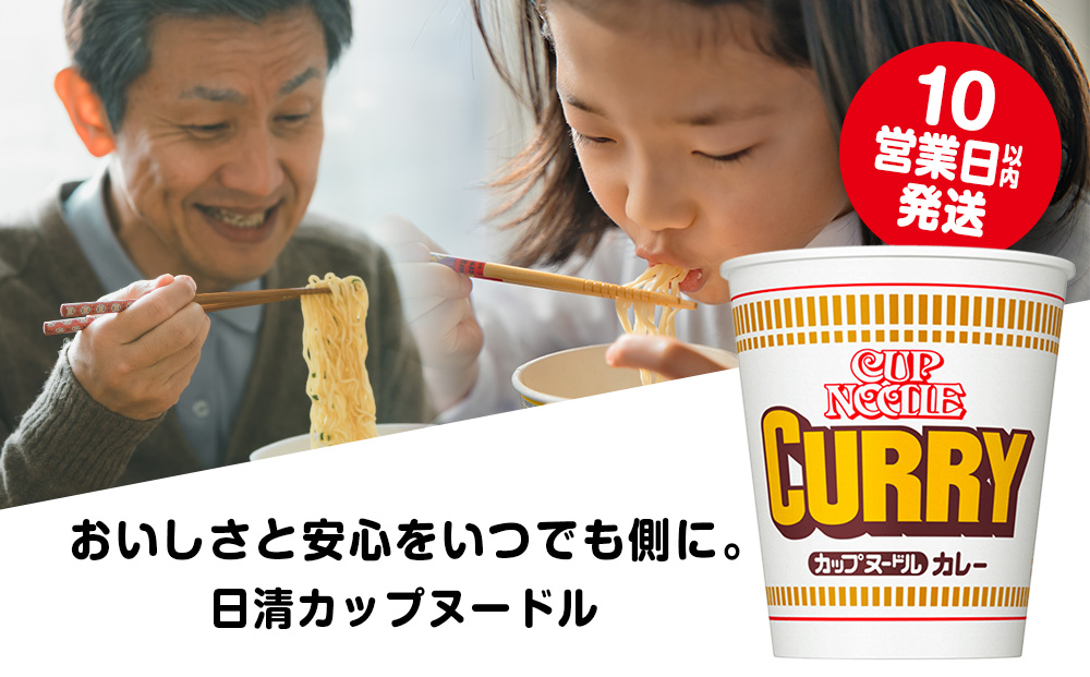 日清 カレーヌードル10食 ラーメン 麺 即席麺 麺類 ラーメン カップ麺 インスタントインスタント 麺類 カップラーメン