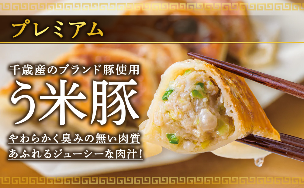 北海道餃子天のびろく プレミアム12粒入　3箱