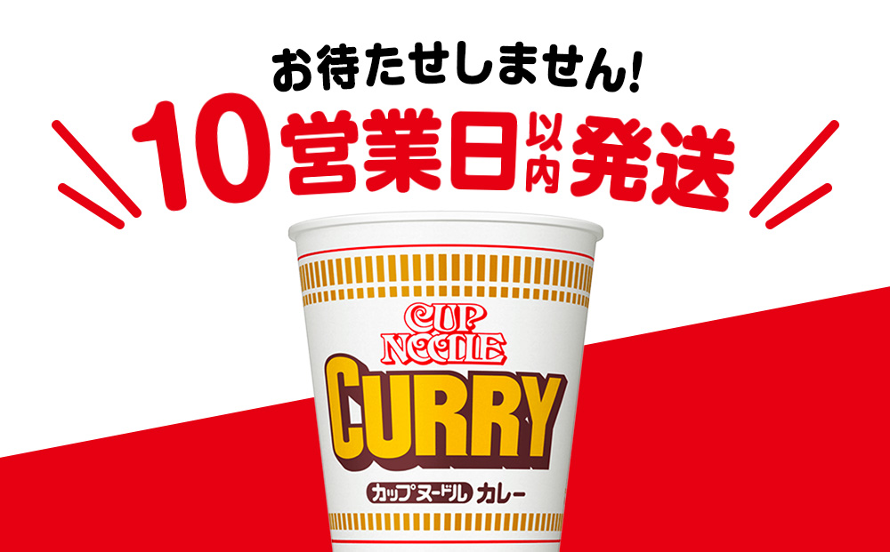 日清 カレーヌードル10食 ラーメン 麺 即席麺 麺類 ラーメン カップ麺 インスタントインスタント 麺類 カップラーメン