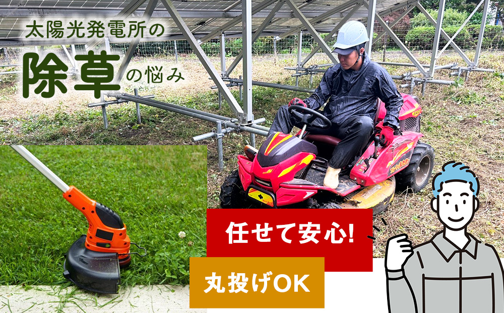 太陽光発電所　除草作業（低圧）