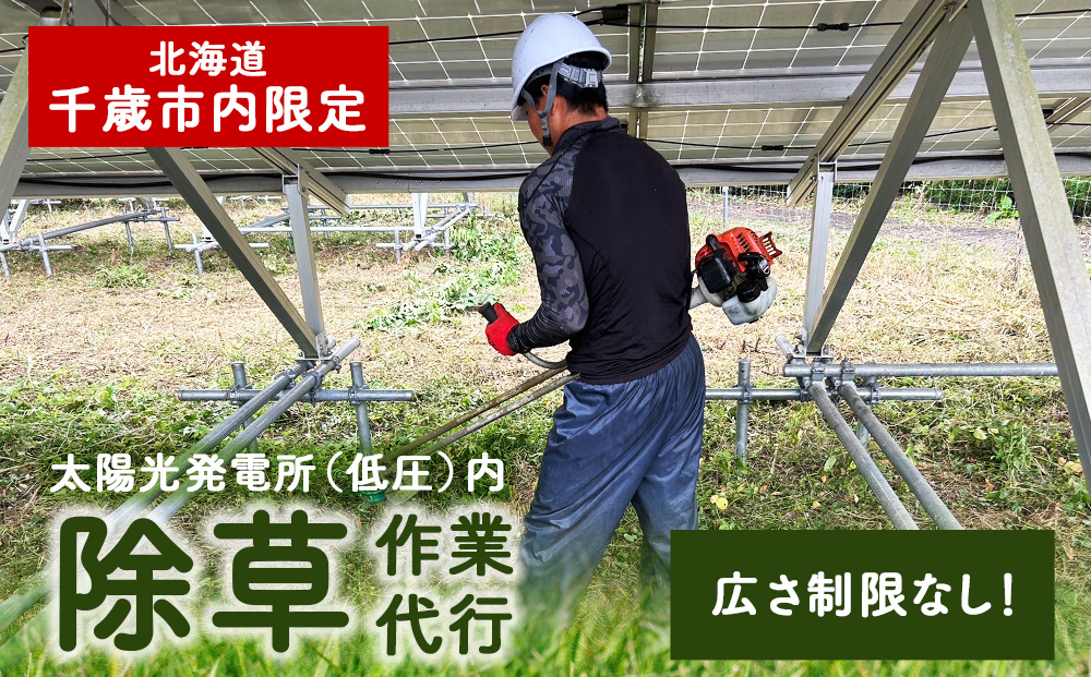 太陽光発電所　除草作業（低圧）