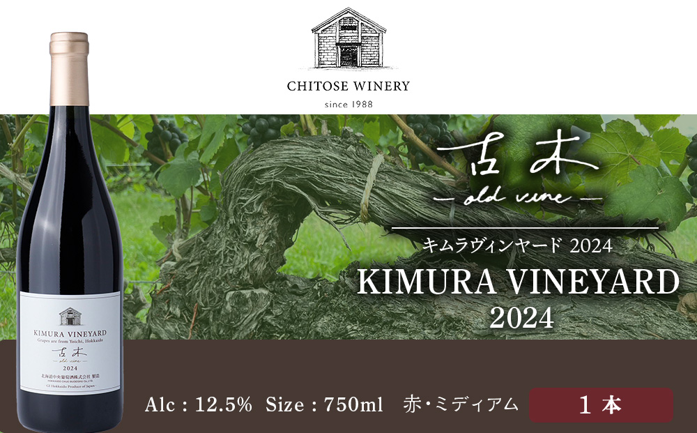 キムラヴィンヤード古木2024　1本