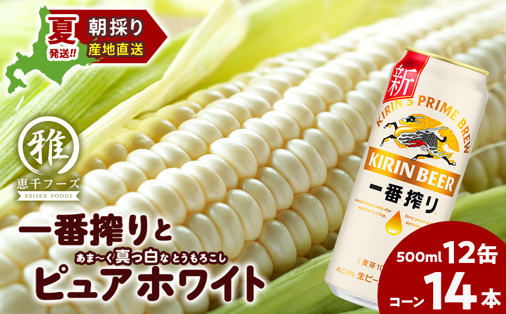 2025年夏発送 キリン一番搾り 500ｍl 12缶＆白いとうもろこしピュアホワイト14本