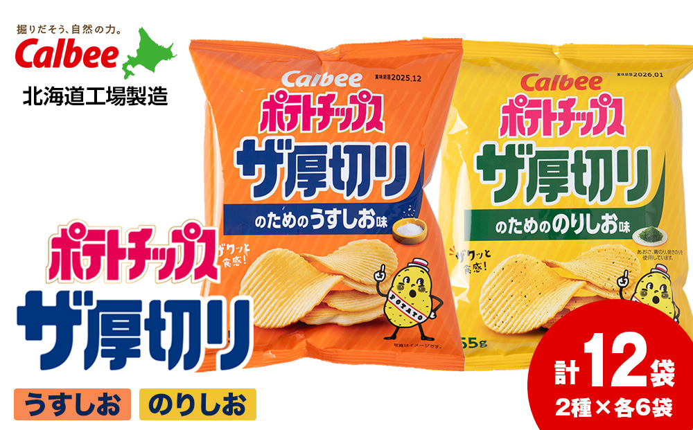 ポテトチップス ザ厚切りのための ２種セット うすしお6袋 のり塩6袋 合計１２袋 １箱