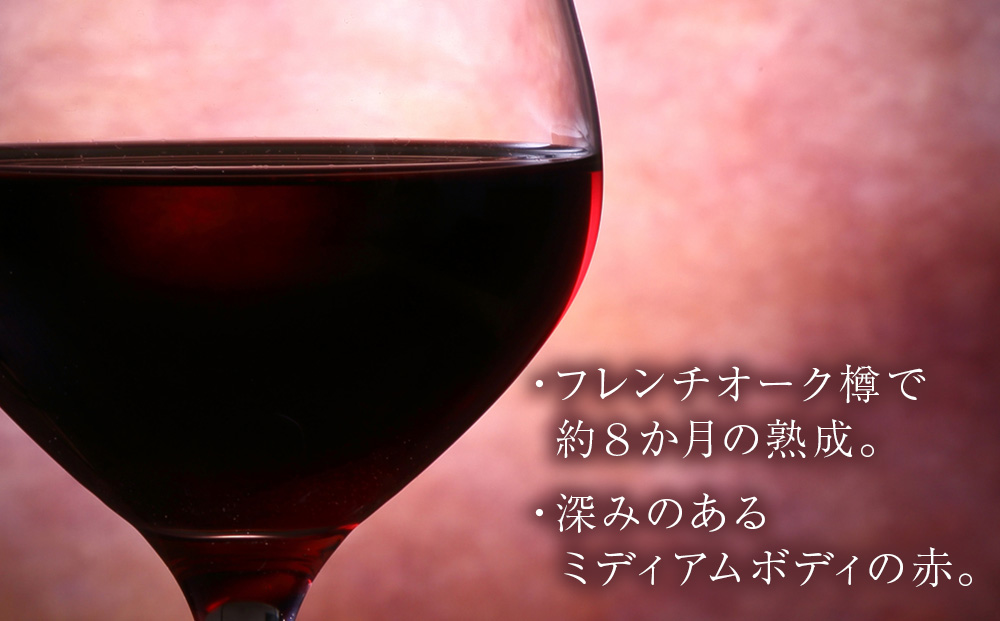 キムラヴィンヤード古木2024　1本