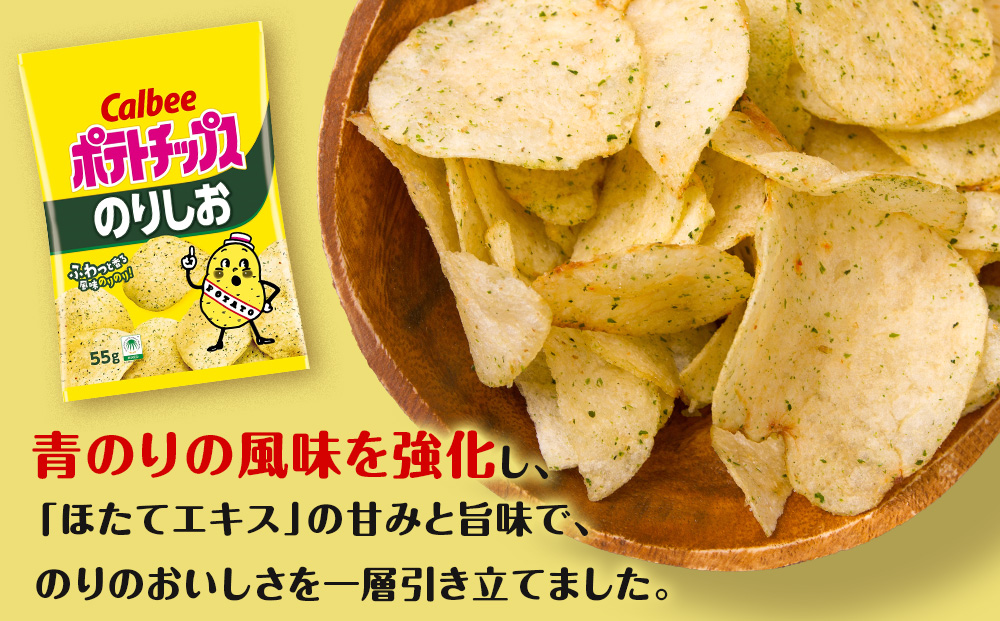【定期便2カ月】カルビーポテトチップス 2種セット うすしお・コンソメパンチ 各8袋 《千歳工場製造》