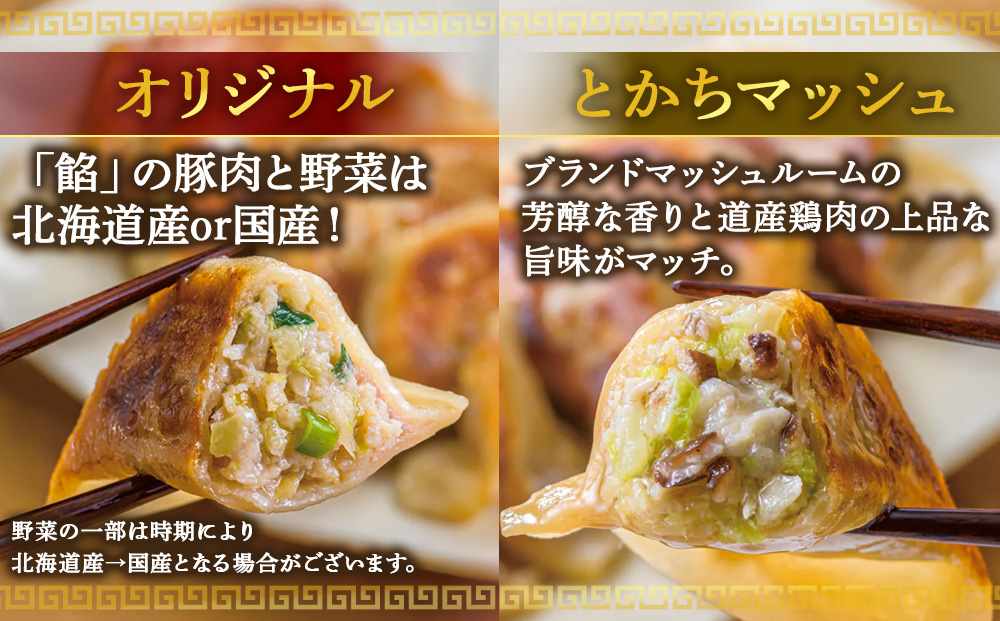 北海道餃子天のびろく 3種セット（オリジナル・とかちマッシュ・プレミアム）