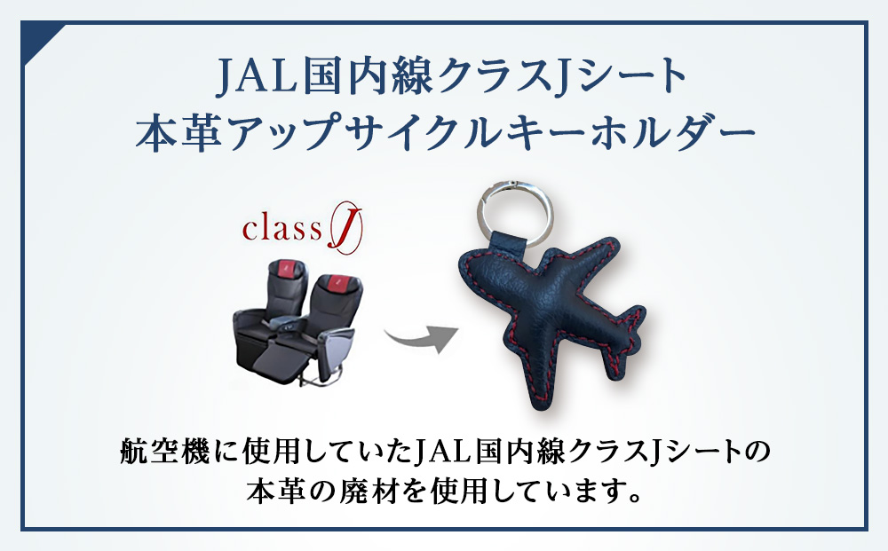 JALã¹ã¿ãããšãããæ°åæ³ç©ºæž¯ããã¯ã€ãŒãèŠåŠãã¢ãŒã2026幎1æ25æ¥ å¬è¡ã