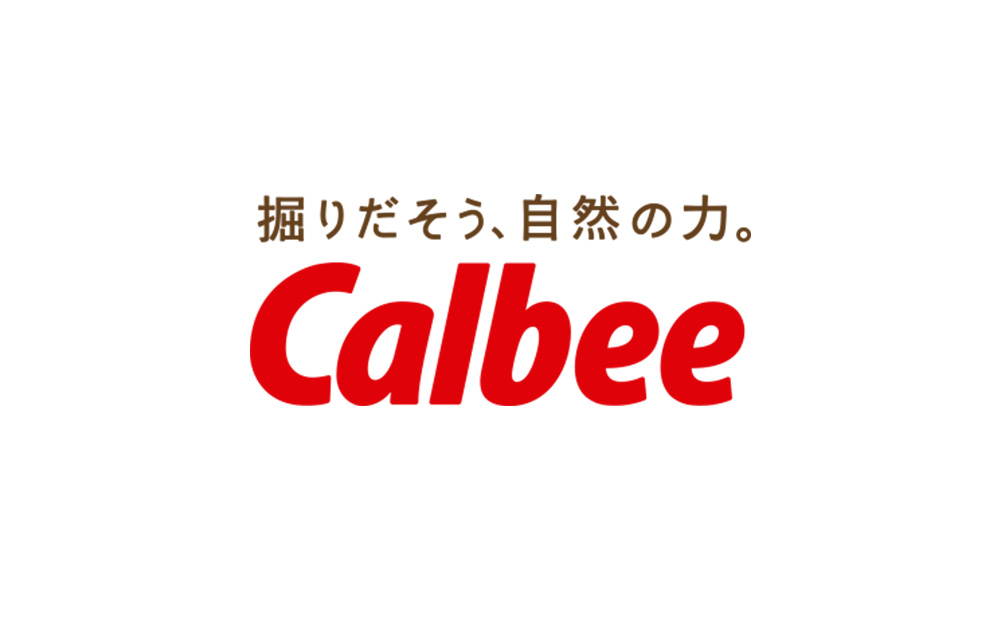 【定期便4カ月】【北海道限定】カルビー じゃがいも道 ほたてと昆布の旨しお味 12袋入×1箱 ポテトチップス《千歳工場製造》