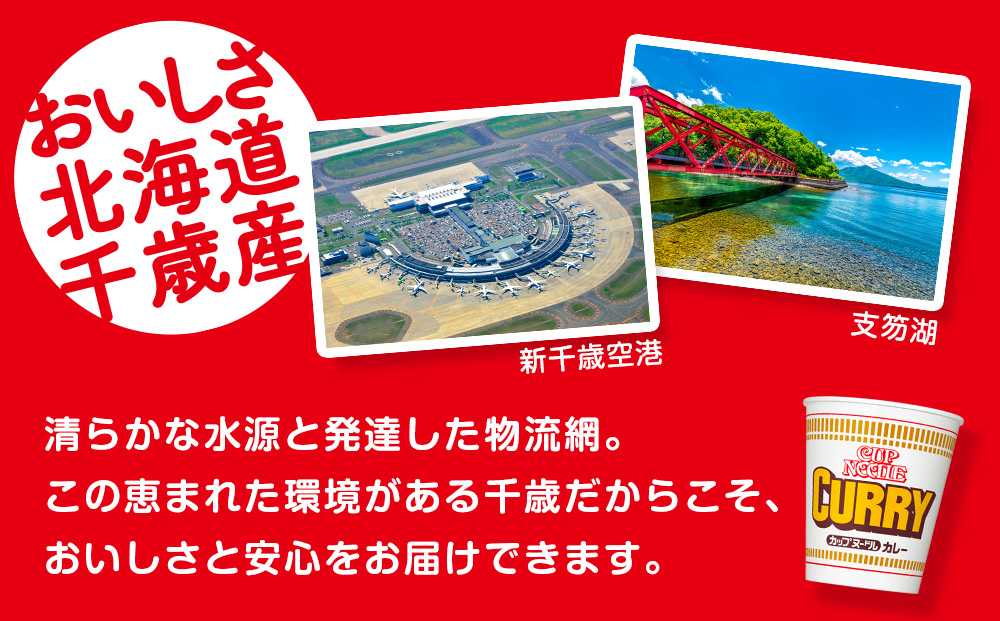10営業日以内発送 日清★カレーヌードル★ 2箱・合計40食
