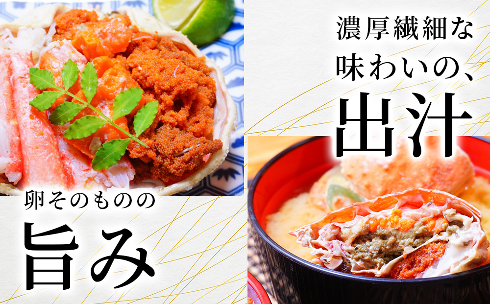 北海道産【朝ゆで】訳ありオオズワイガニ メス(小) 1.0kg詰 子持ち 内子 外子 道産品 オオズワイ ズワイガニ ずわい蟹 カニ 蟹 規格外品 不揃い 訳アリ 訳有り