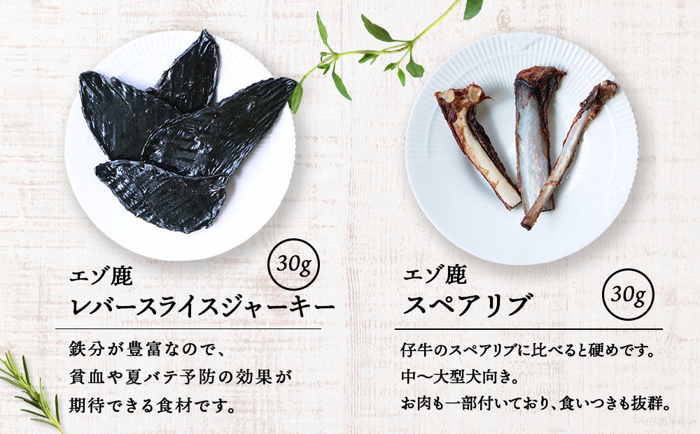 ãšãŸé¹¿6ç¹ã»ãã