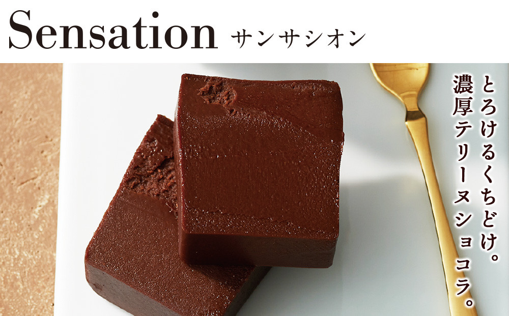 ルタオチョコレート5種セット【ドレモルタオ】