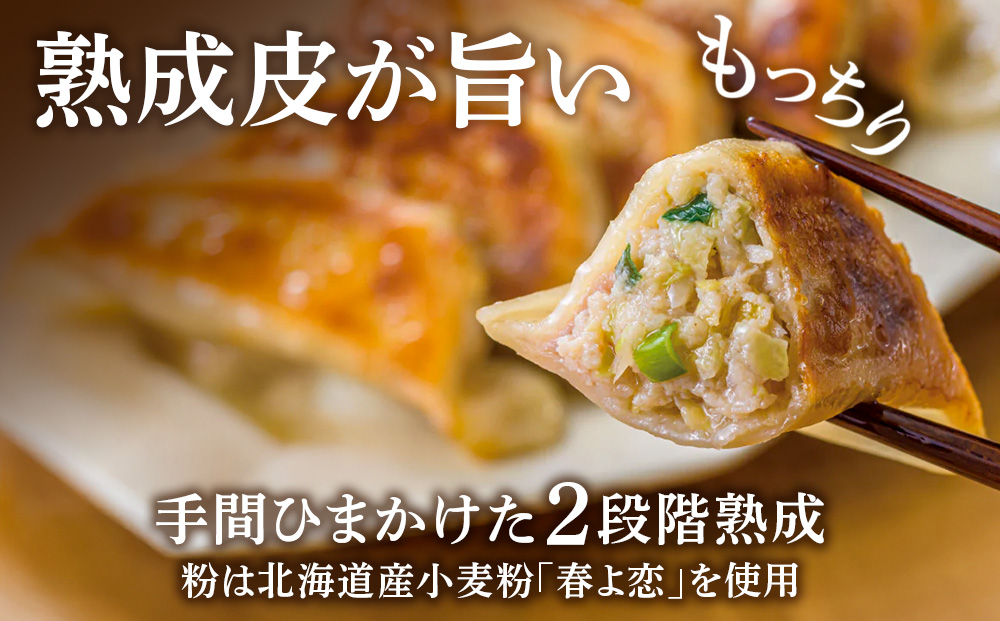 北海道餃子天のびろく 3種セット（オリジナル・とかちマッシュ・プレミアム）
