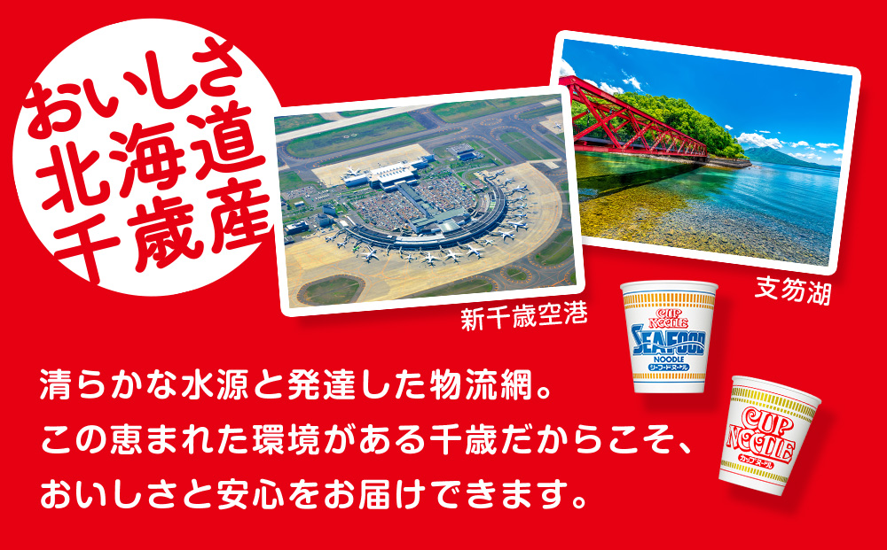 日清ヌードル2種セット カップヌードル・シーフードヌードル各10食 ラーメン 麺 即席麺 麺類 ラーメン カップ麺 インスタントインスタント 麺類 カップラーメン