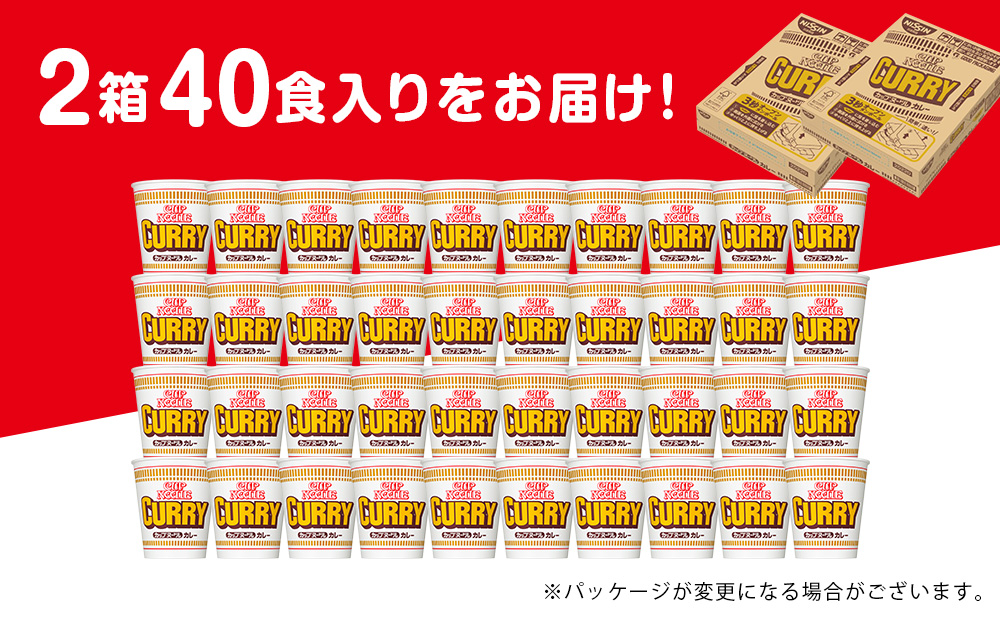 10営業日以内発送 日清★カレーヌードル★ 2箱・合計40食