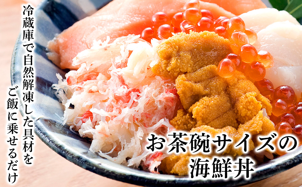 海鮮丼 具 60g×16 丼ぶり 刺身 海鮮セット 【北海道】【札幌バルナバフーズ】