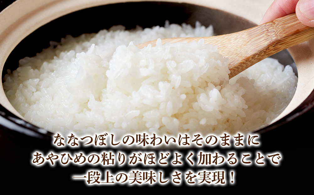 北海道産 う米蔵 5kg × 2袋 計10kg【 JA道央 】 米 こめ コメ 千歳 北海道