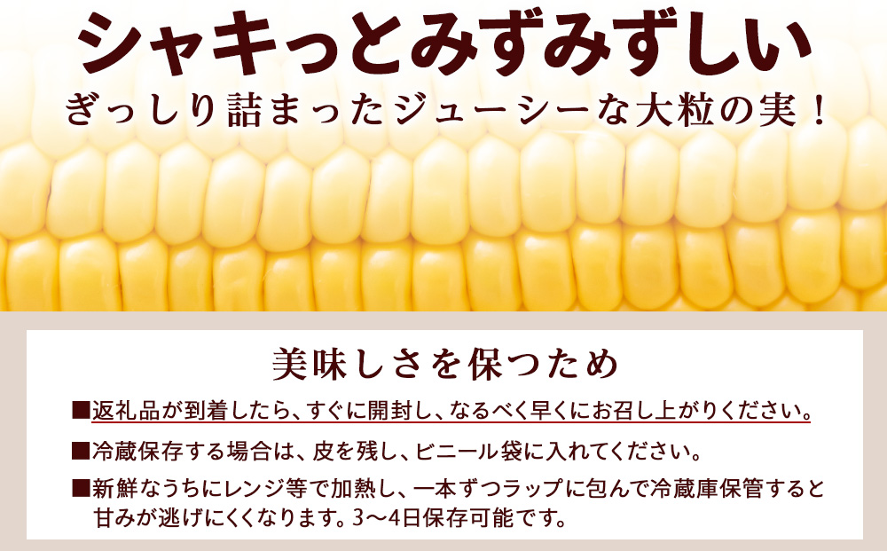 2025年夏発送 とうもろこし ゴールドラッシュ L～2L 16本