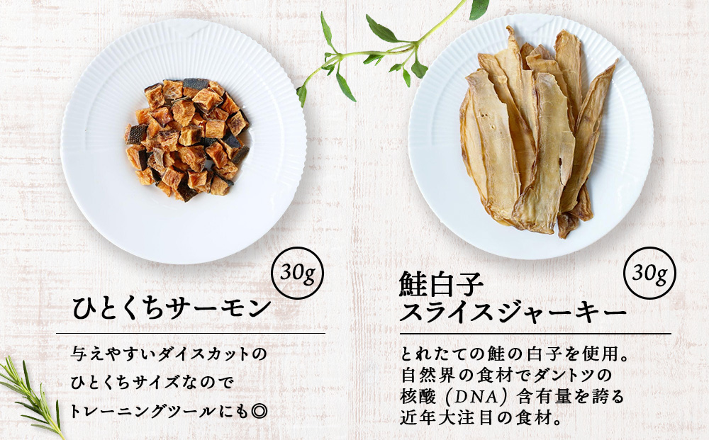 サーモン4点セット（4種類　各30g）