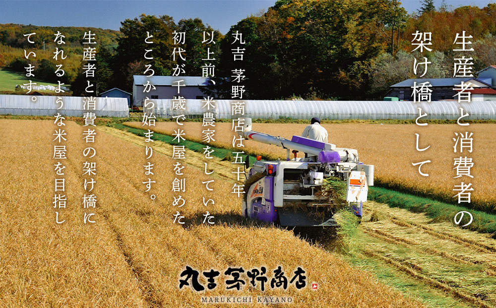 【新米発送】【 定期便 6回 】北海道産 ななつぼし 10kg ( 真空 パック 5kg × 2袋 ) 特Ａ 米 お米 5キロ 千歳 北海道 北海道米