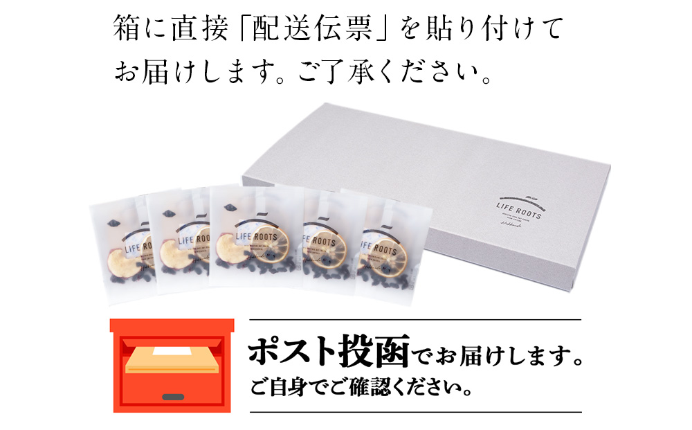 フレーバーウォーター５個セット ドライフルーツ 無添加 ヘルシー 健康 デトックス 北海道 千歳 フルーツ ギフト