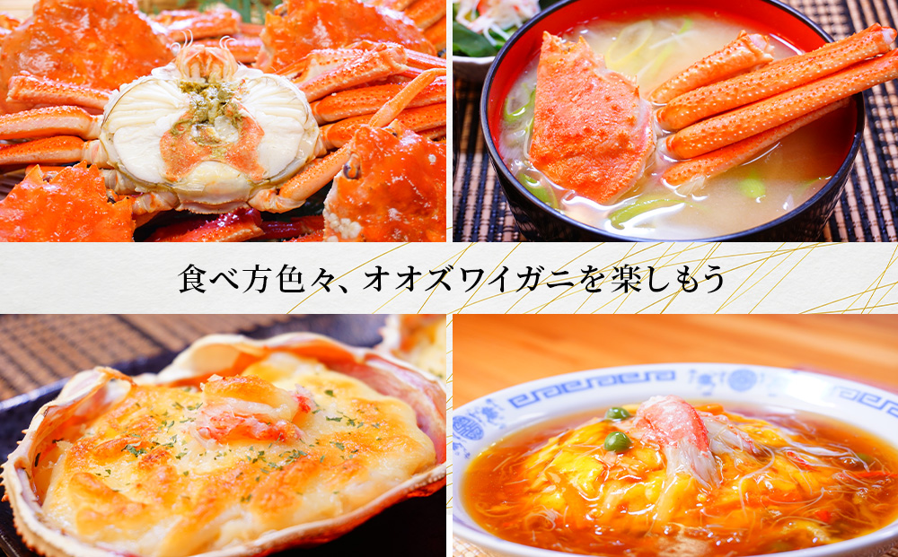 åæµ·éç£ã æãã§ ãèš³ãããªãªãºã¯ã€ã¬ã 800gè©° éç£å ãªãªãºã¯ã€ ã«ã è¹ èŠæ Œå€å äžæã èš³ã¢ãª èš³æã