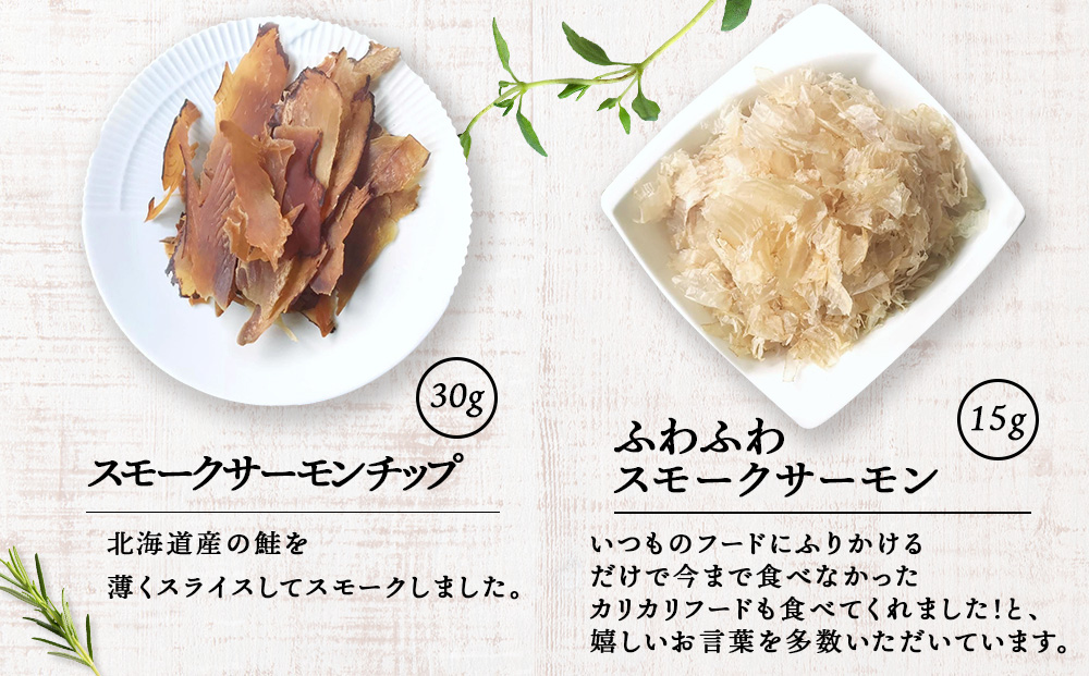 ãµãŒã¢ã³6ç¹ã»ãã