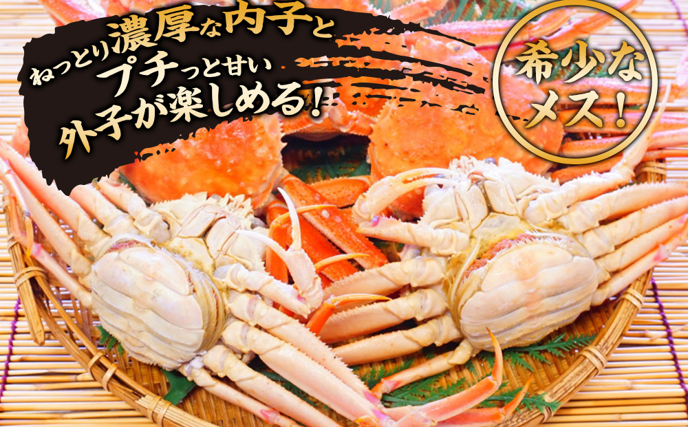 北海道産【朝ゆで】訳ありオオズワイガニ メス(小) 1.0kg詰 子持ち 内子 外子 道産品 オオズワイ ズワイガニ ずわい蟹 カニ 蟹 規格外品 不揃い 訳アリ 訳有り