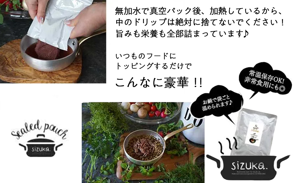 繧ィ繧セ鮖ソシ繧オ繝シ繝「繝ウ繝ャ繝医Ν繝医そ繝繝茨シ4遞ョ鬘橸シ