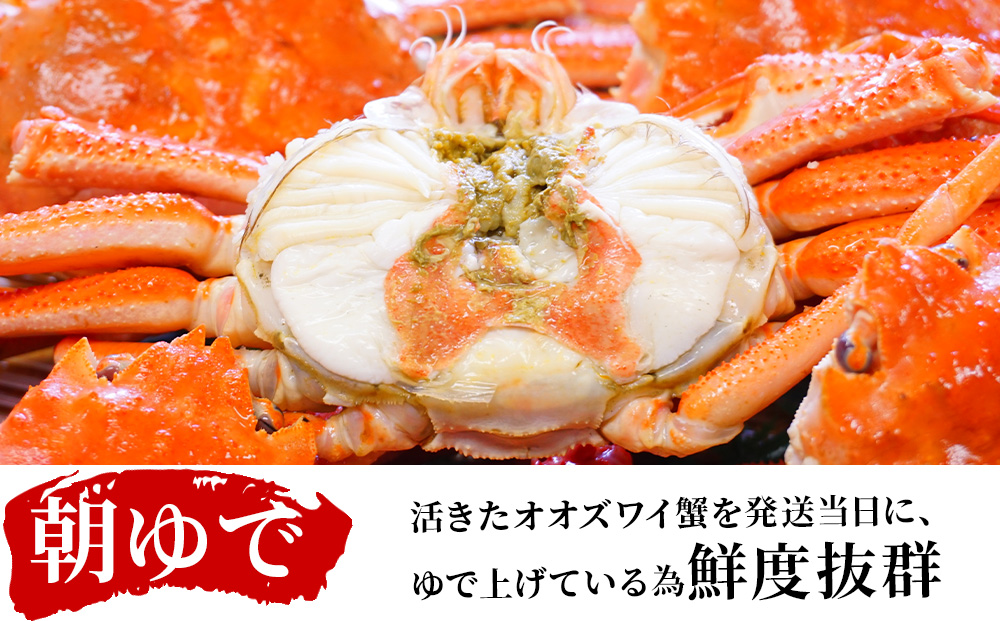 åæµ·éç£ã æãã§ ãèš³ãããªãªãºã¯ã€ã¬ã 800gè©° éç£å ãªãªãºã¯ã€ ã«ã è¹ èŠæ Œå€å äžæã èš³ã¢ãª èš³æã