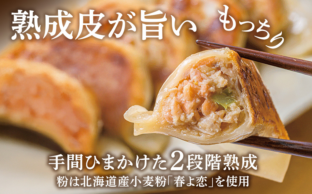 ☆千歳市ふるさと納税☆千歳高校と北海道餃子天のびろくがコラボ！さけみそ餃子 3箱セット