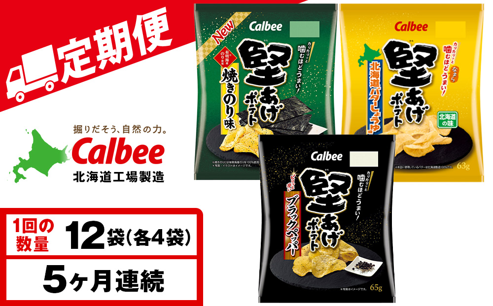 【定期便5カ月】堅あげポテト 3種セット ＜ブラックペッパー・焼きのり・バターしょうゆ＞ 各4袋  カルビー ポテトチップス 《千歳工場製造》