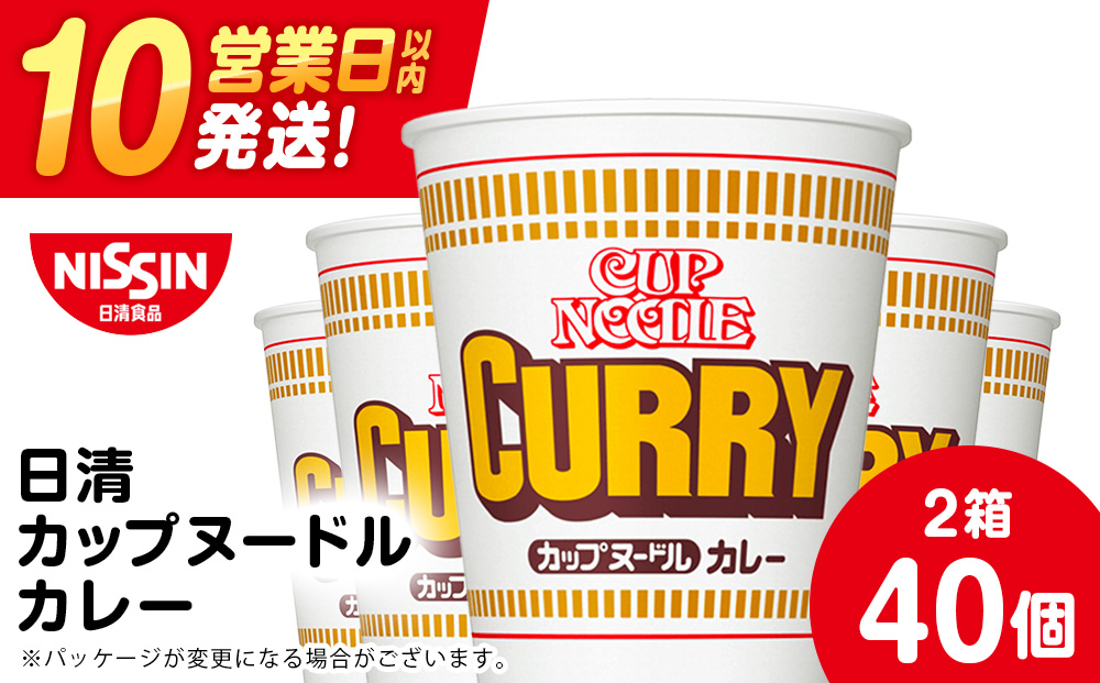10営業日以内発送 日清★カレーヌードル★ 2箱・合計40食