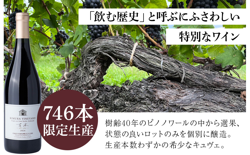 キムラヴィンヤード古木2024　1本