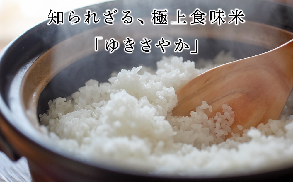 新米 北海道産 ゆきさやか 10kg ( 5kg × 2袋 ) 米 お米 5キロ 千歳 北海道 北海道米