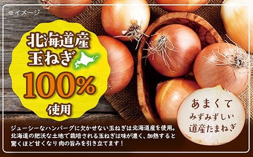 北海道デミハンバーグ1食200g 9セット 北海道 牛肉 豚肉 真空パック冷凍 お弁当 バーベキュー 惣菜 簡単 焼くだけ 個包装 小分け 北海道産玉ねぎ