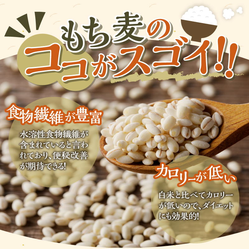 【ごはんで腸活】もち麦ごはんレトルト24パック