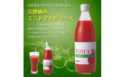 完熟摘みミニトマトジュース600ml 6本セット 北海道 無添加 無塩 100% とまと 滝川