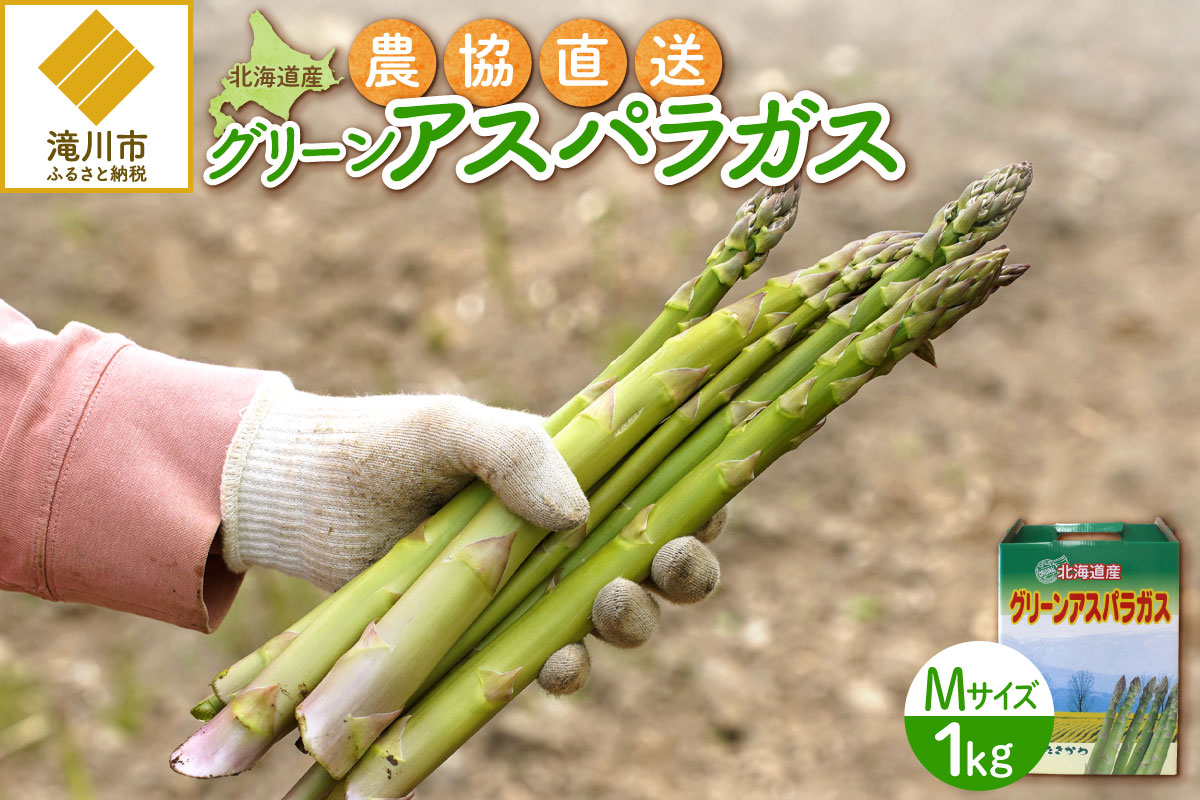 【2026年発送先行受付】北海道産グリーンアスパラ Mサイズ 1kg(500gx2袋) 産地直送 | 野菜 旬 とれたて お取り寄せ 小分け 保存 北海道 滝川市