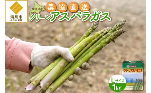 【2026年発送先行受付】北海道産グリーンアスパラ Lサイズ 1kg(500gx2袋) 産地直送 | 野菜 旬 とれたて お取り寄せ 小分け 保存 北海道 滝川市