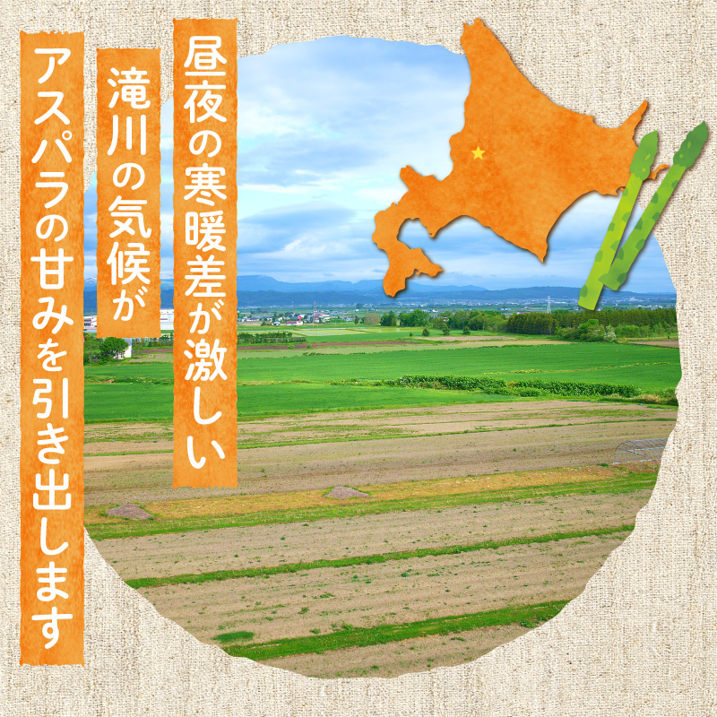 【2026年発送先行受付】北海道産グリーンアスパラ Lサイズ 1kg(500gx2袋) 産地直送 | 野菜 旬 とれたて お取り寄せ 小分け 保存 北海道 滝川市
