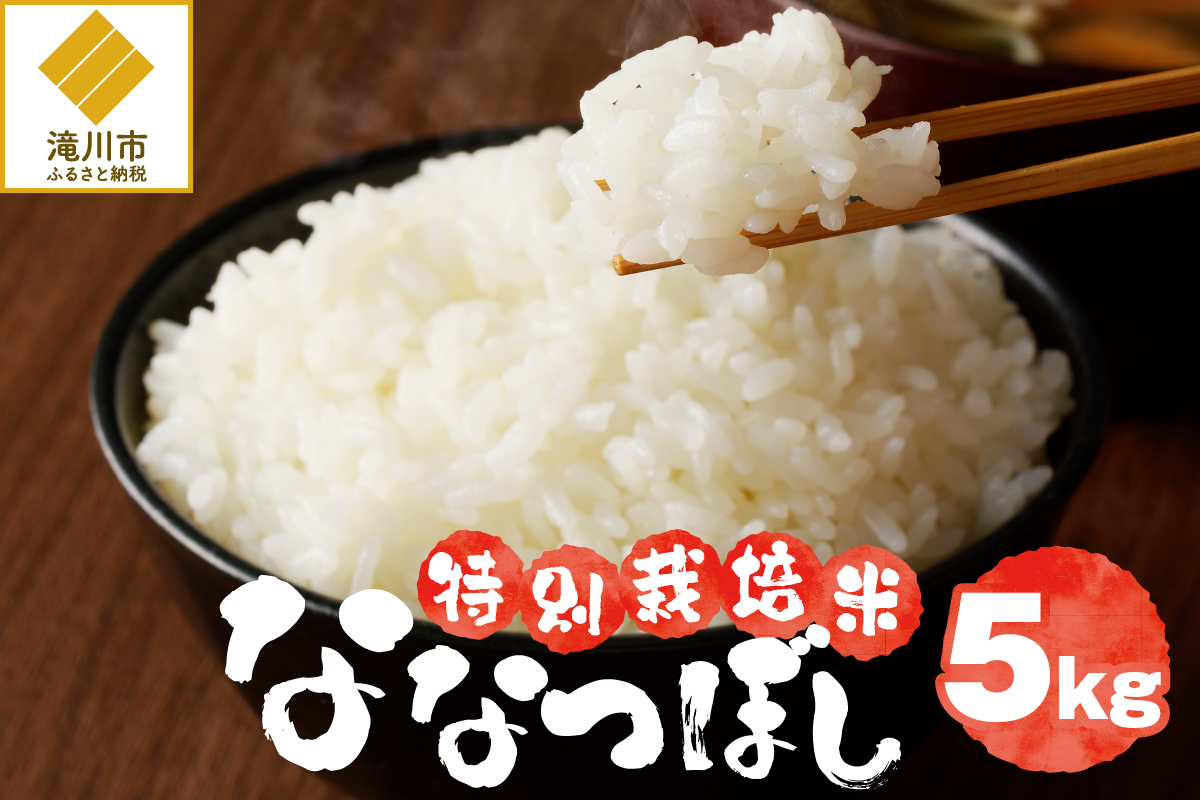 《令和7年産》特別栽培米ななつぼし 5kg | 16年連続特A ブランド米 白米 精米 米 お米 こめ 減農薬 単一原料米 ご飯 贈答 ギフト お試し 北海道米 北海道 滝川市